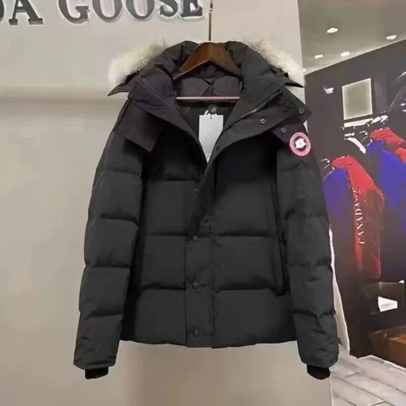 Ver las 4 fotos Canada goose Moncler Burberry jacket